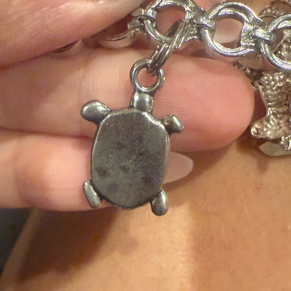 Texas Sterling Silver Charm Bracelet